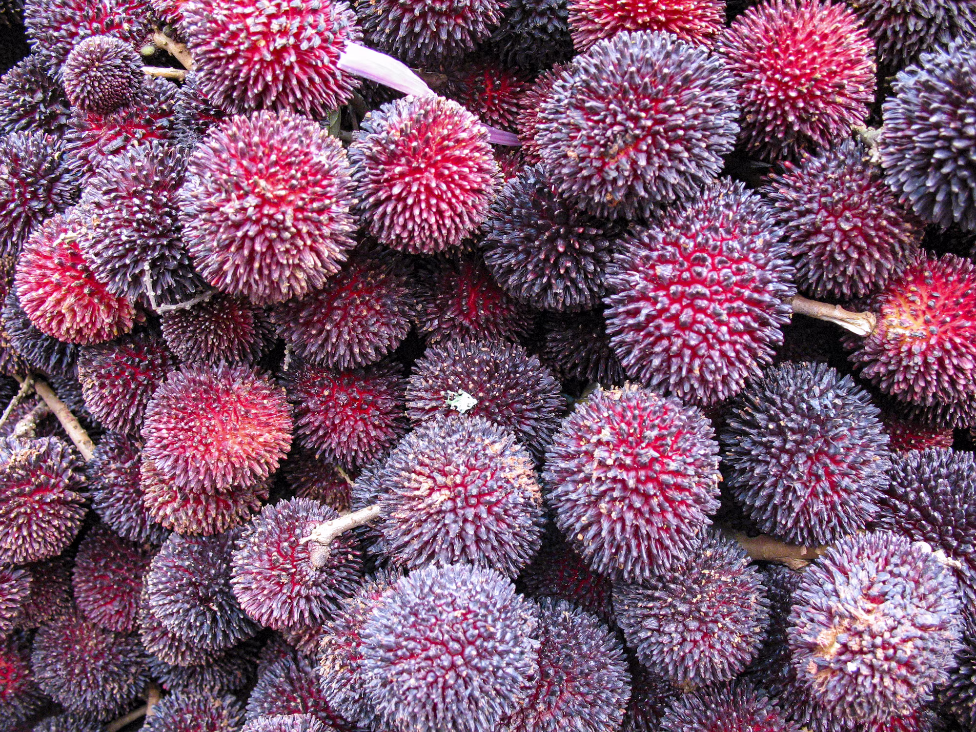 Embracing Mindful Eating: A Path to Wellness